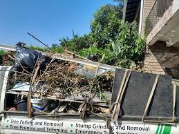 Best Residential Junk Removal  in North Aurora, IL